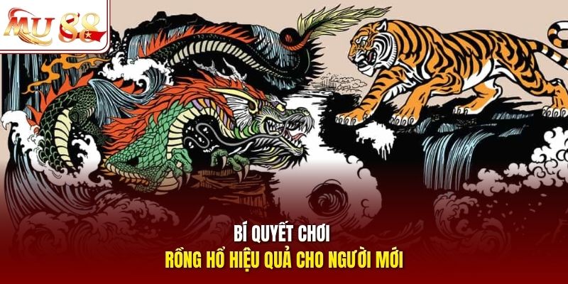 Bí quyết chơi Rồng Hổ hiệu quả cho người mới Bí quyết chơi Rồng Hổ hiệu quả cho người mới