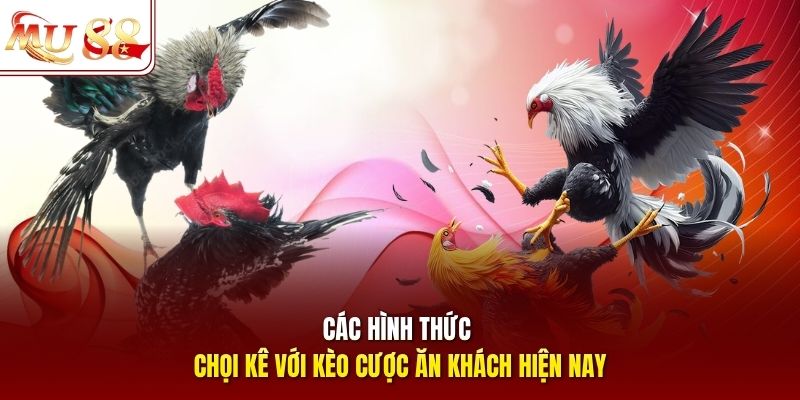 Các hình thức chọi kê với kèo cược ăn khách hiện nay