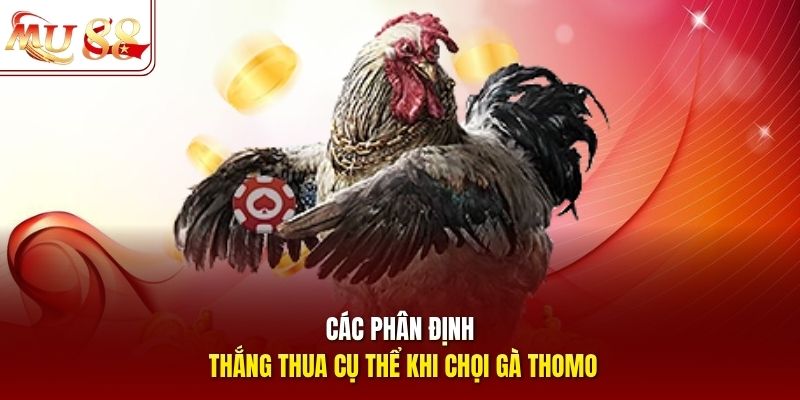 Các phân định thắng thua cụ thể khi chọi gà Thomo Các phân định thắng thua cụ thể khi chọi gà Thomo
