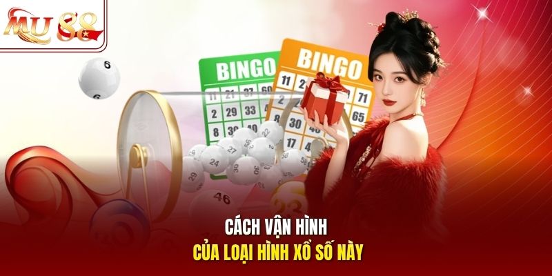 Cách vận hình của loại hình xổ số này