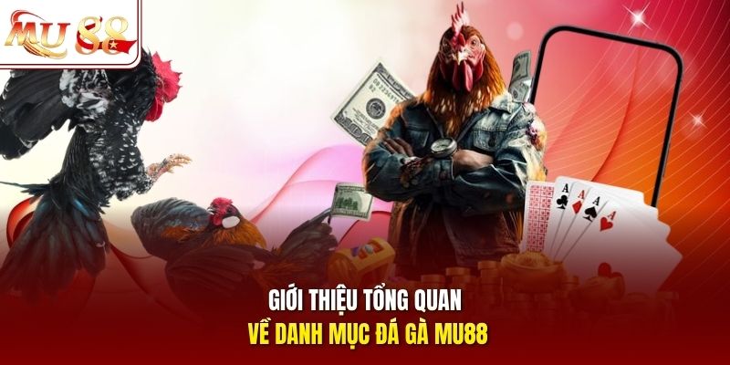Giới thiệu tổng quan về danh mục đá gà mu88