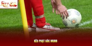 Kèo phạt góc