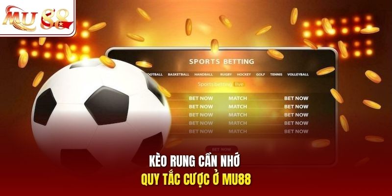 Kèo rung cần nhớ quy tắc cược ở mu88