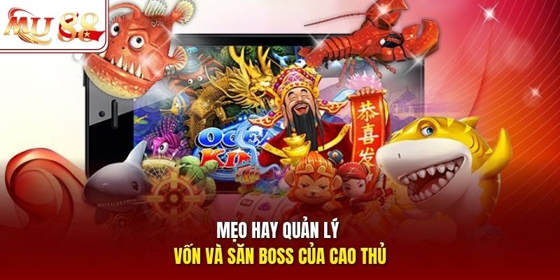 Mẹo hay quản lý vốn và săn boss của cao thủ Mẹo hay quản lý vốn và săn boss của cao thủ