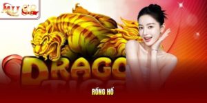 Rồng Hổ