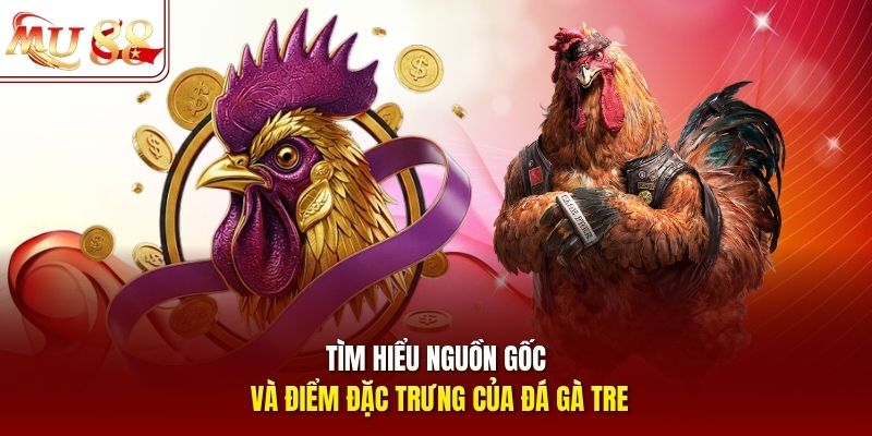 Tìm hiểu nguồn gốc và điểm đặc trưng của đá gà tre Tìm hiểu nguồn gốc và điểm đặc trưng của đá gà tre