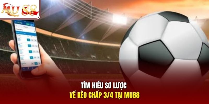 Tìm hiểu sơ lược về kèo chấp 3/4 tại mu88